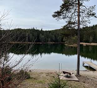 Wildsee