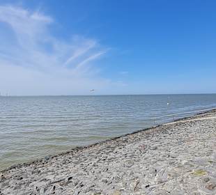 Wandern Butjadingen