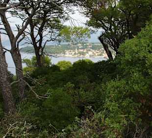 Eine schöne grüne Insel!