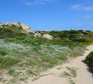 Wanderung am Capo Testa