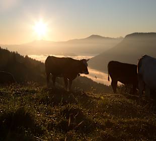 Wandern Oberstaufen