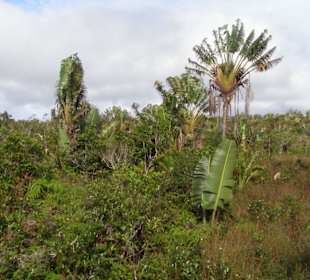 Nahe dem Wasserfall Alexandra