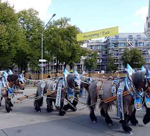 Einfahrt der Bierkutscher