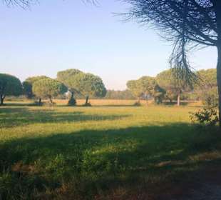 Hier Feldanbau erlaubt