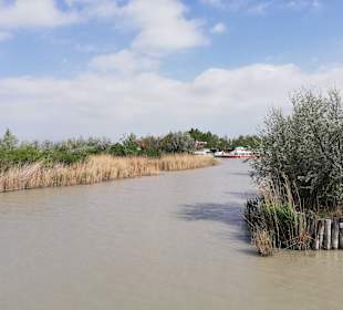 Wandern Mörbisch am See