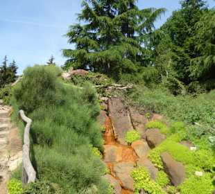 Botanischer Garten Berlin-Dahlem