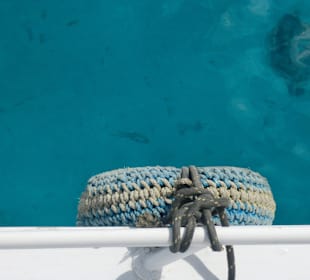 Das klare Wasser mit Fischen