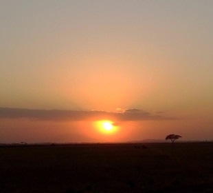 Sonnenuntergang im Amboseli-Park