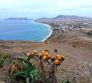 Inseltour Porto Santo