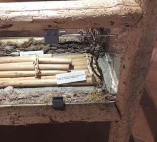 Schüttesäge-Museum