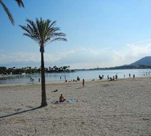 Strand Alcudia