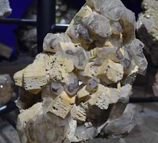 Mineraliensammlung im Park