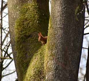 Rombergpark Dortmund