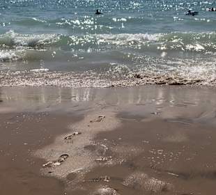 Strand Novo Sancti Petri