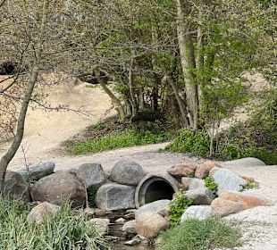 Steilküste Grömitz