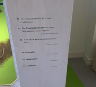 Museum für Naturkunde