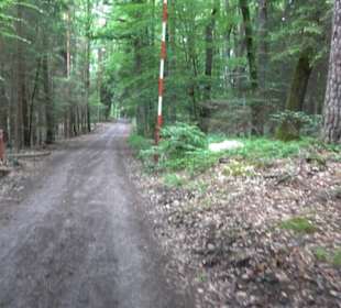 Wanderweg - Alter Steinbruch Pfaffenberg Runde