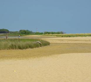 Strand von Bibione 06-2010