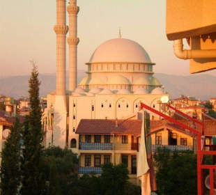 Cats Catty Garden - Moschee