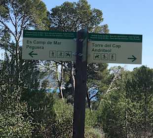 Wandern Camp de Mar	