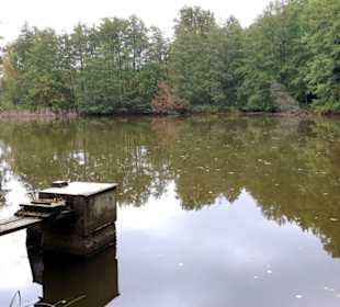 Einer der beiden Teiche