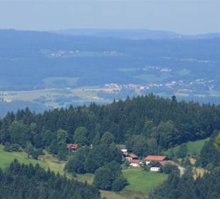 Wald Wipfel Weg mit Erlebnispfad in Sankt Englmar