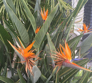 Wandern Side - Kumköy