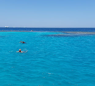 Giftun / Mahmya Inseln