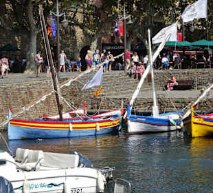 Im Altstadt-Hafen von Collioure