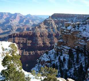 Tolles Naturerlebnis