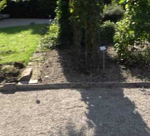 Botanischer Garten München