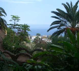 Taoro Park nach Umbau