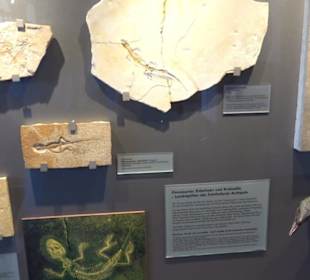 Jura-Museum