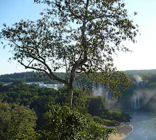 Wodospad Iguazu
