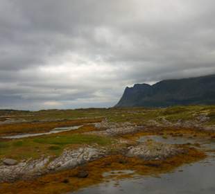 Letni krajobraz na Lofotach