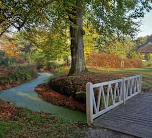 Herbstspaziergang durch den Schlosspark Lütetsburg