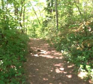 Wanderweg Sieben-Täler-Runde 