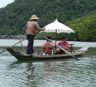 Bootstour in den Mangrovenwäldern