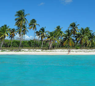Saona
