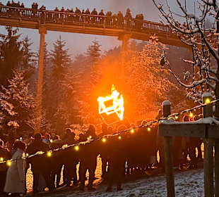 Waldwipfelweg St Englmar/Maibrunn