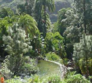 Wunderschöne Natur und reich an Tierarten