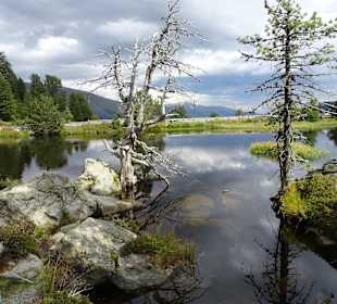Wandern Gmünd