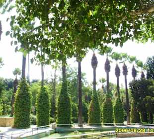 Park w okolicy
