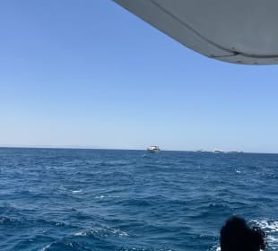 Glasbodenboot Tour Hurghada