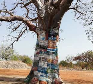 Internetbaum