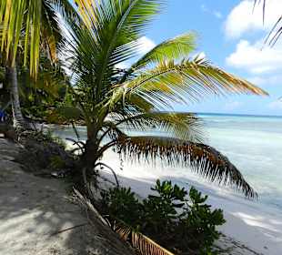 Isla Saona