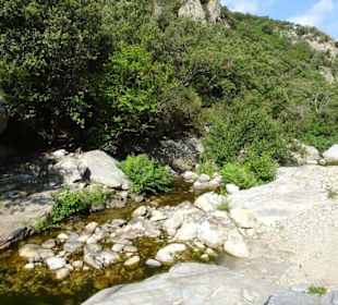 Impressionen von einer Wanderung an der Massane