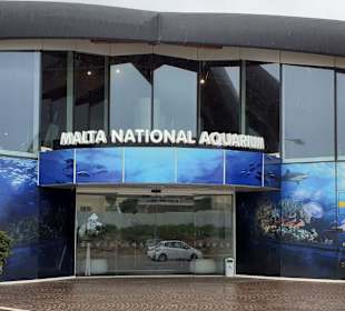 National Aquarium Malta