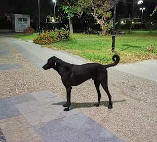 Strandpromenade Evrenseki