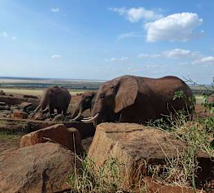 Tsavo East - Voi Lodge